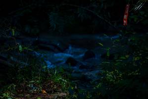 BIB: 
                            <button type="button" onclick="openModal(19307250)" class="btn btn-primary btn-sm float-right btn-popup" data-toggle="modal" data-target=".modal-high-quality">
                        <i class="fas fa-shopping-cart"></i> Add to Cart
                    </button>
                                            <button type="button" onclick="isThisMe(19307250, true)" class="btn btn-success btn-sm float-right btn-popup btn-isme hidden" data-toggle="tooltip" data-placement="bottom" title="นี่คือรูปของคุณใช่ไหม คลิกที่นี่เพื่อเอาเข้าอัลบั้ม">
                        <i class="fas fa-plus"></i> Add to album
                    </button>
                    <button type="button" onclick="isThisMe(19307250, false)" class="btn btn-warning btn-sm float-right btn-popup btn-isnotme hidden">
                        <i class="fas fa-ban"></i> Remove from album
                    </button>